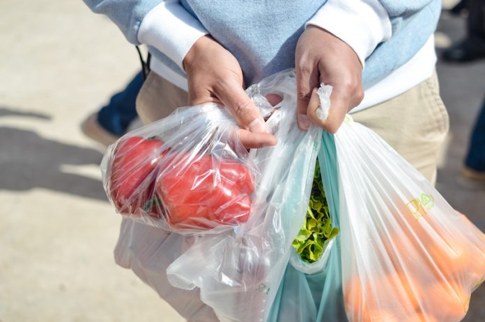Close up on person buyer hold groceries in bags. Buy sell vegetables. Healthy wellbeing lifestyle background